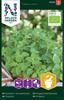 Oregano / Kungsmynta Organic