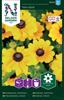 Rudbeckia Sommar- 'Toto Gold'