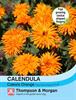 Ringblomma  'Calexis Orange'