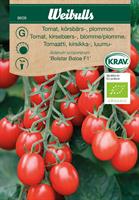 Tomat Körsbär/plum 'Bolstar Baloe' F1 Krav Organic