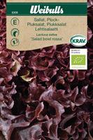 Sallat Plock- 'Salad Bowl Rossa' KRAV Organic