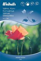 Vallmo Korn- 'Vild' röd