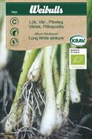Lök Pip-/Sallads- 'Long White Ishikura' Krav Organic