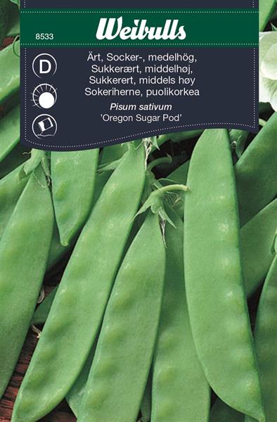 Ärt Socker- 'Oregon Sugar Pod' medelhög