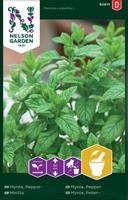 Mynta Peppar-