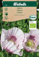 Vallmo vit Krav Organic