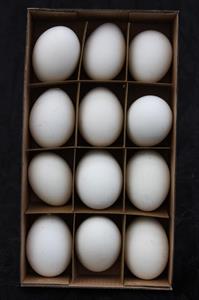 Ägg från höna 12/fp