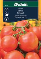 Tomat 'Oh happy day' F1