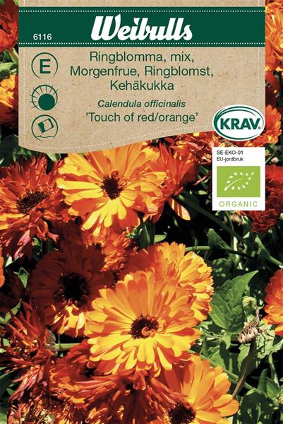 Ringblomma 'Touch of red/orange' mix Krav Organic