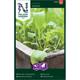 Rucola/Sandsenap 'Speedy'