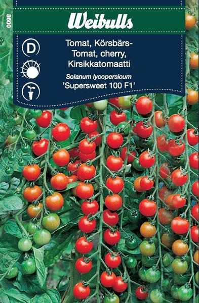 Tomat Körsbärs- 'Supersweet 100' F1