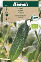 Gurka 'Hokus' KRAV Organic
