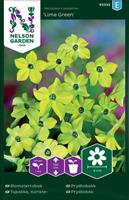 Blomstertobak Lime Green