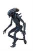 Alien vs Predator,  Arachnoid Alien