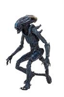 Alien vs Predator,  Arachnoid Alien