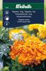 Tagetes hög bland