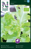 Sallat Plock- 'Plezir' Organic