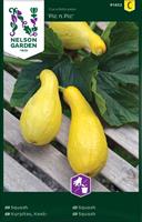 Squash 'Pin´n Pic'