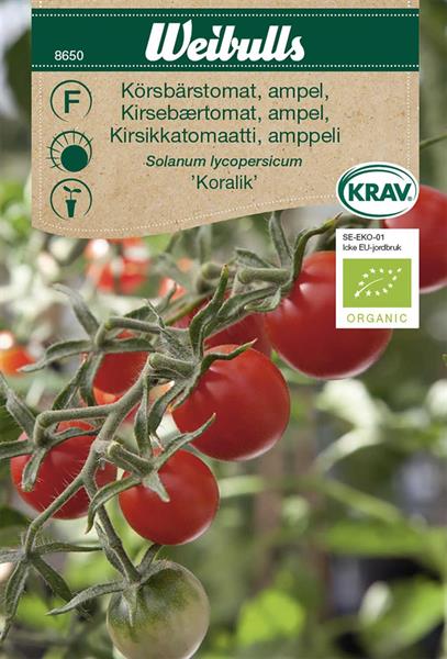 Tomat Ampel- 'Koralik' KRAV Organic