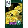 Tagetes Sammets- 'Alumia Vanilla Cream'