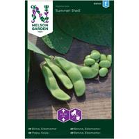 Böna Edamame- 'Summer Shell'