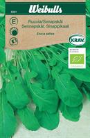 Rucola/Senapskål Krav Organic