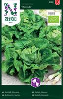 Sallat Huvud- 'Matilda' Organic