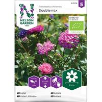 Aster 'Dubbel mix' Organic
