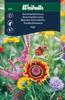 Mix Sommarblommor