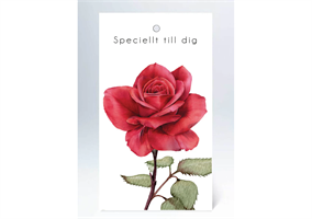 Kort SP Tags "Speciellt till dig" 50/fp