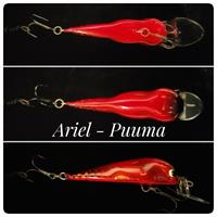 Ariel - Puuma