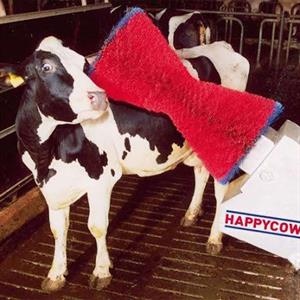 Ryktborste Happy Cow Uno