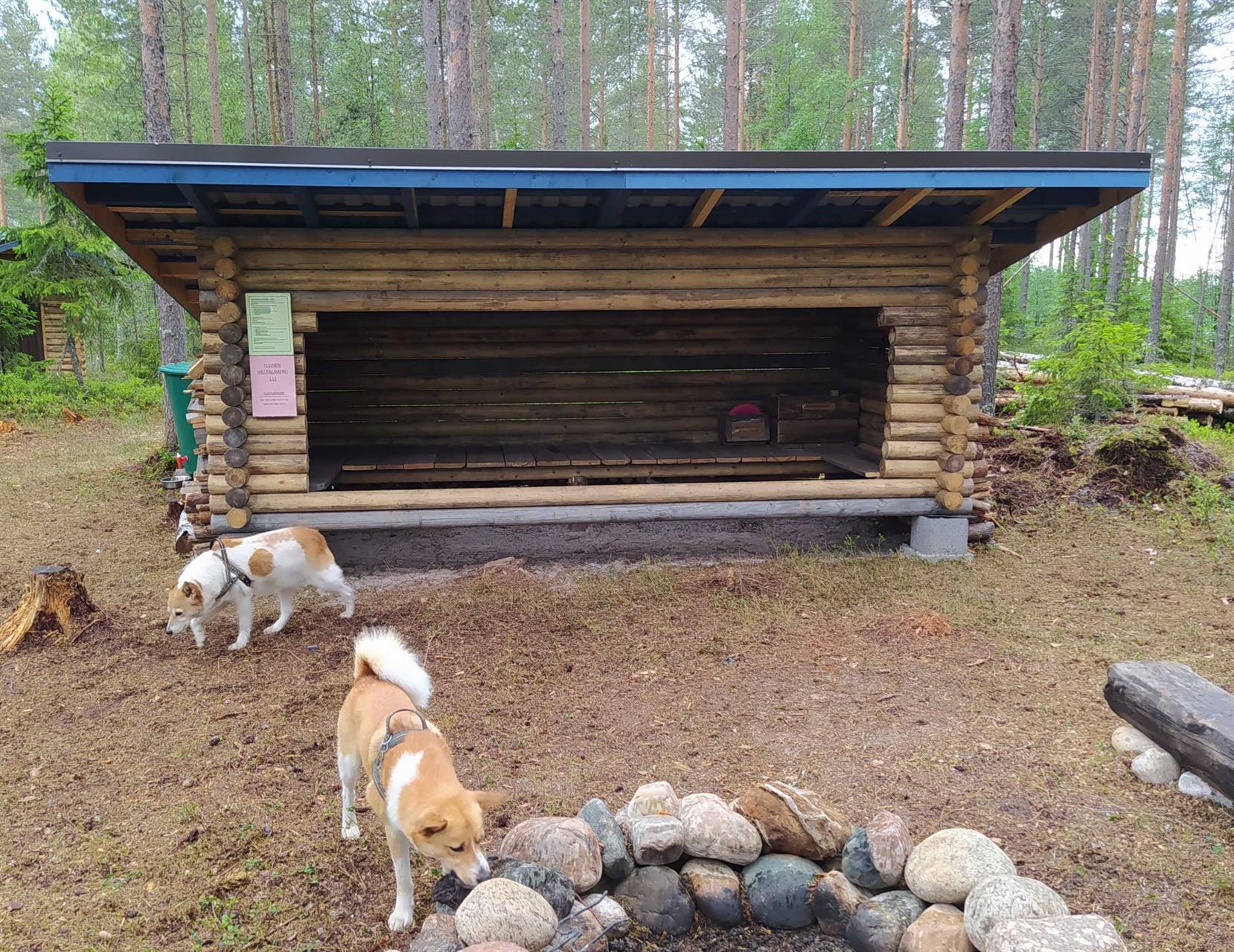 Oulun Koirametsä