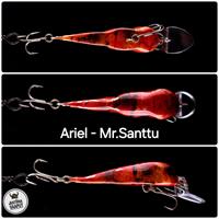 Ariel - Mr.Santtu