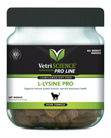 L-Lysine Pro katt