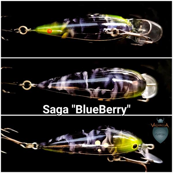 Saga 'BlueBerry'