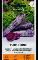 Morot Purple Sun Hybrid