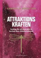 Attraktionskraften -  Gabrielle Bernstein