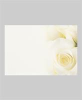 Minikort "White Rose"