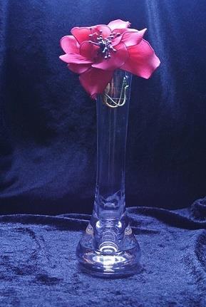 Nya vasen