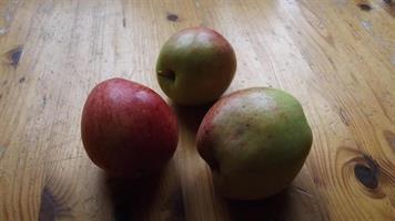 Melon Äpple