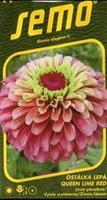 Zinnia Queen Red-Lime