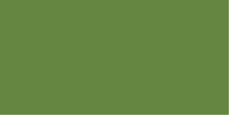 17.Linoljefärg Kromoxidgrön 1L