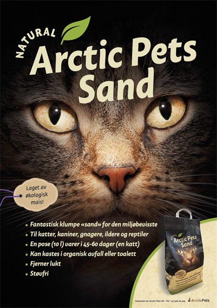 Plakat Arctic Pets Sand