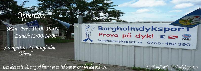 Borgholmdyksport.se