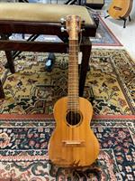 Ukulele med hardcase