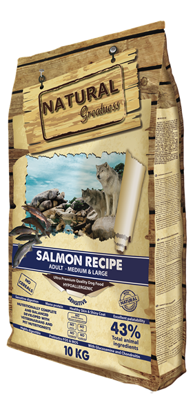 DD Salmon Recipe Adult Med & Large 10kg