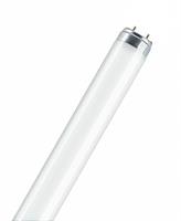 Loisteputki L18W/830 T8 Lumilux Warm white