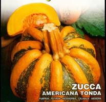 Pumpa Americana Tonda