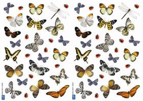 Fjärilar och insekter  S
